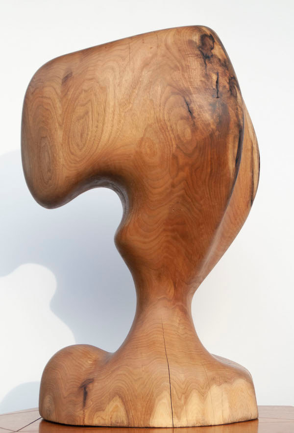 Wooden Sculpture by Aidan McGiff
